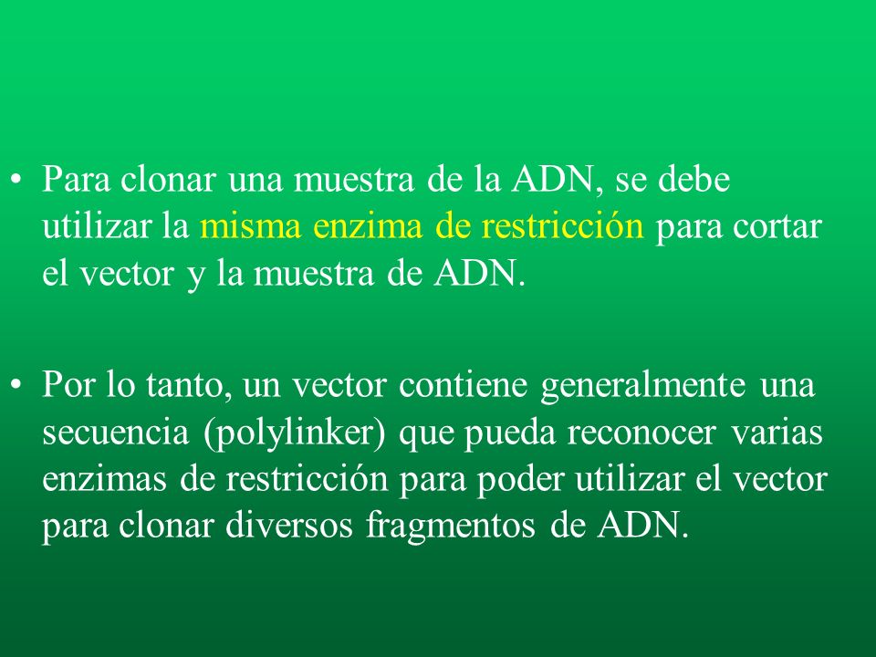 Para clonar una muestra de la ADN, se debe utilizar la misma enzima de restricción para cortar el vector y la muestra de ADN.
