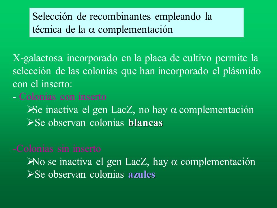 Selección de recombinantes empleando la técnica de la a complementación