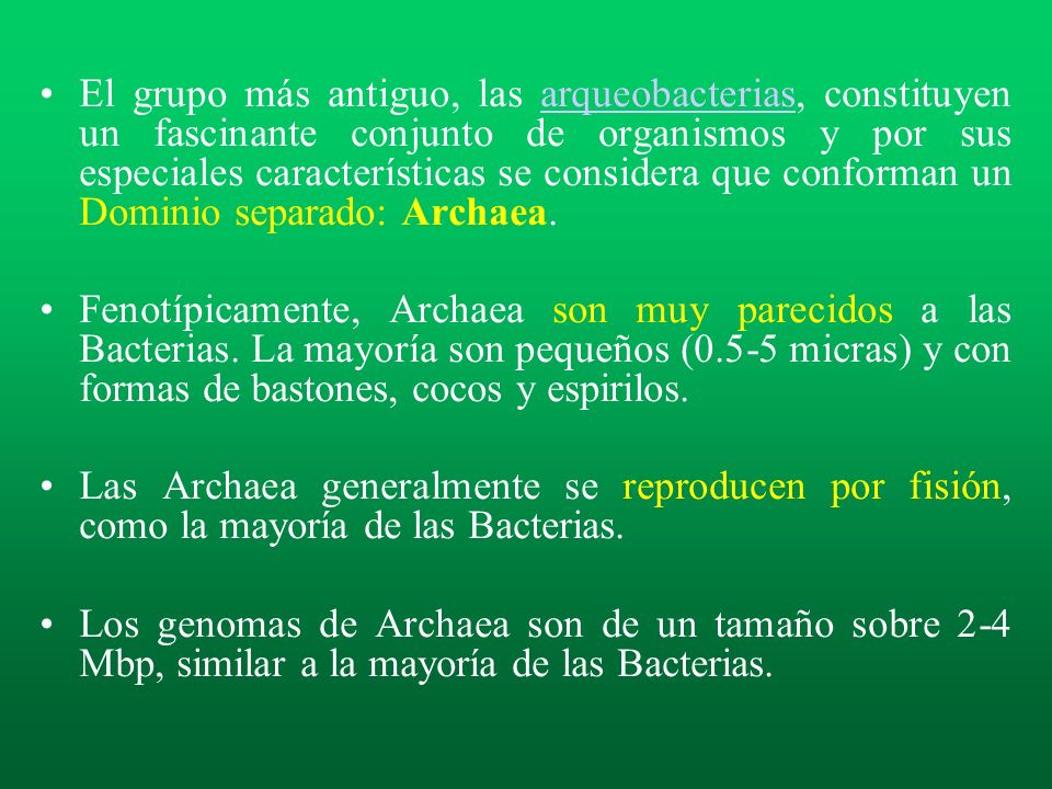 El grupo más antiguo, las arqueobacterias, constituyen un fascinante conjunto de organismos y por sus especiales características se considera que conforman un Dominio separado: Archaea.