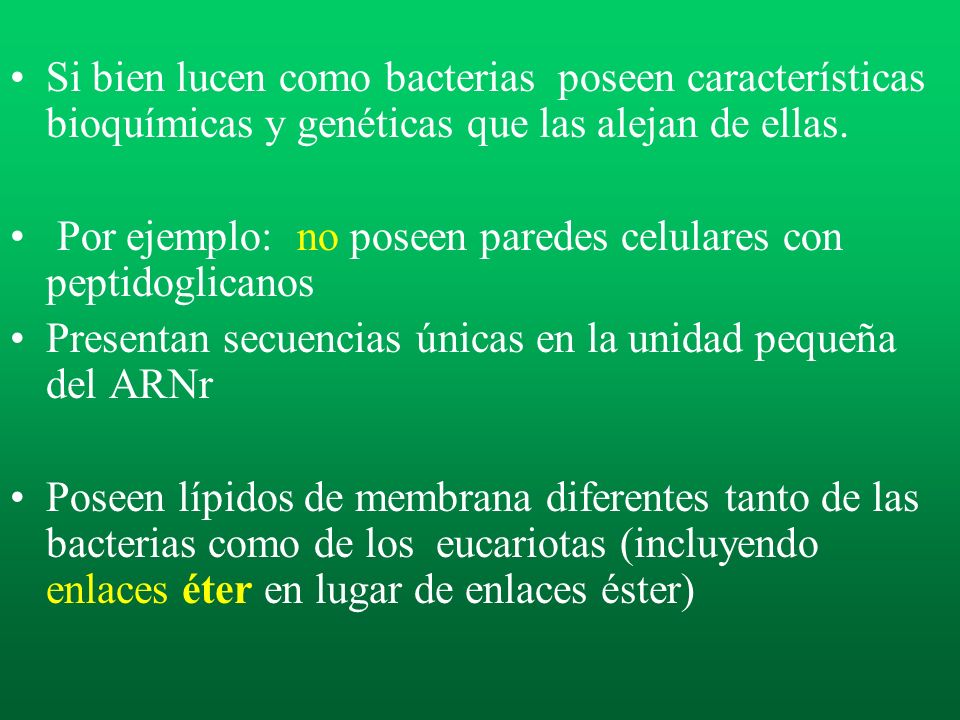 Si bien lucen como bacterias poseen características bioquímicas y genéticas que las alejan de ellas.