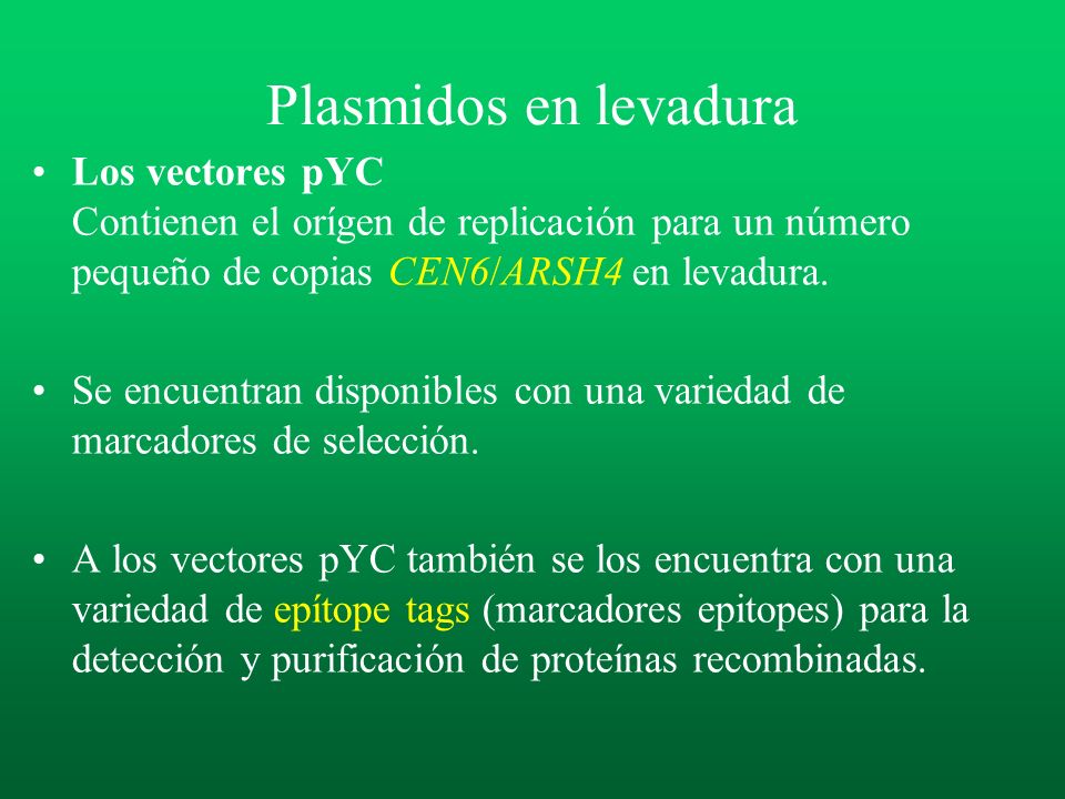 Plasmidos en levadura Los vectores pYC Contienen el orígen de replicación para un número pequeño de copias CEN6/ARSH4 en levadura.