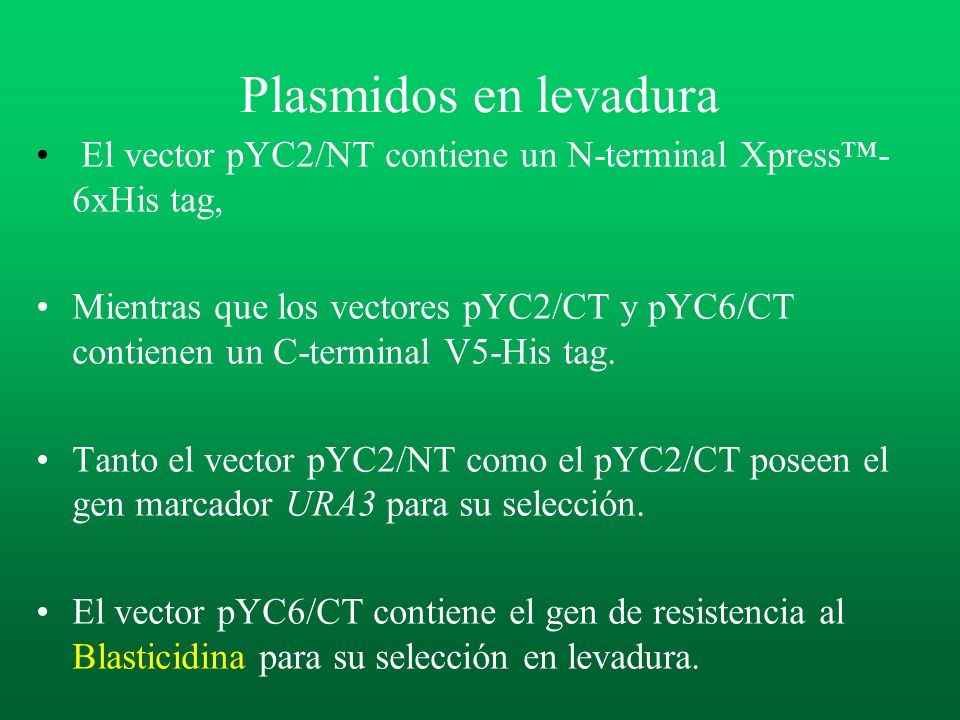 Plasmidos en levadura El vector pYC2/NT contiene un N-terminal Xpress™-6xHis tag,