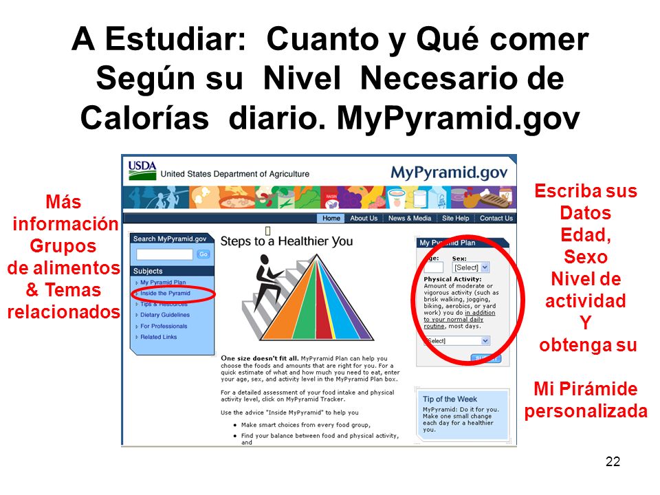 A Estudiar: Cuanto y Qué comer Según su Nivel Necesario de Calorías diario. MyPyramid.gov