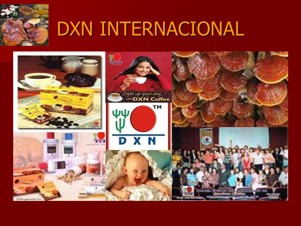 DXN INTERNACIONAL
