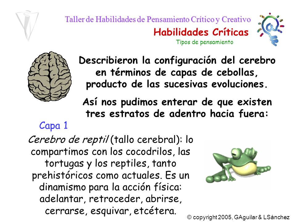 Tipos de pensamiento Describieron la configuración del cerebro en términos de capas de cebollas, producto de las sucesivas evoluciones.
