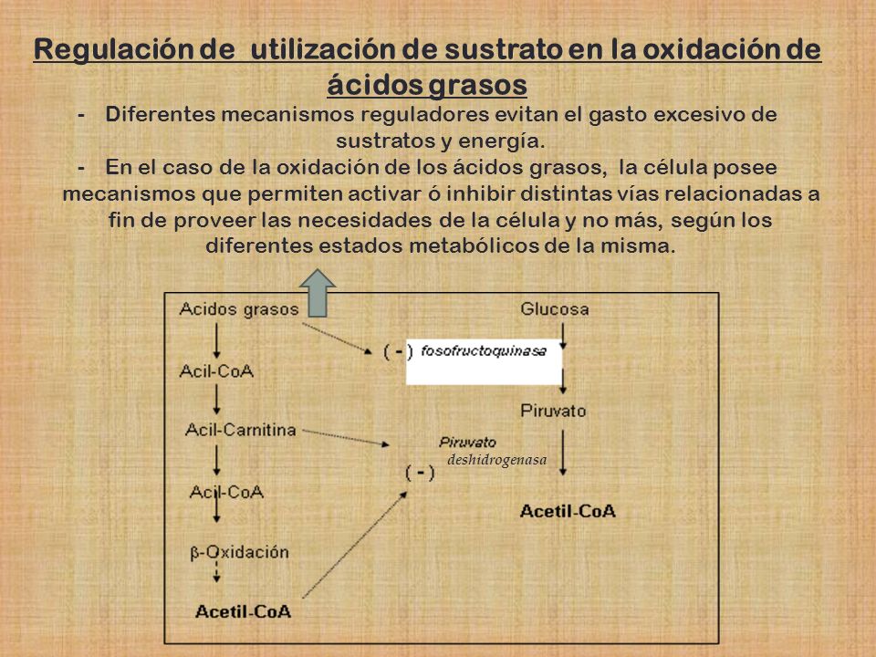 Regulación de utilización de sustrato en la oxidación de ácidos grasos