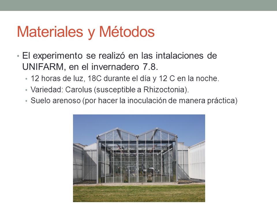 Materiales y Métodos El experimento se realizó en las intalaciones de UNIFARM, en el invernadero 7.8.