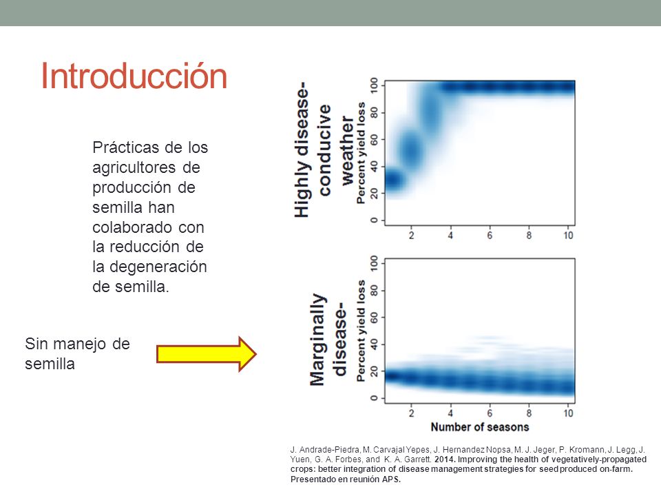 Introducción Prácticas de los agricultores de producción de semilla han colaborado con la reducción de la degeneración de semilla.
