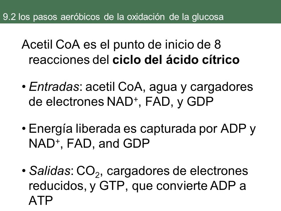 9.2 los pasos aeróbicos de la oxidación de la glucosa