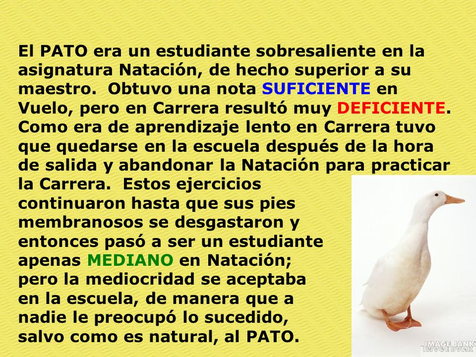 El PATO era un estudiante sobresaliente en la asignatura Natación, de hecho superior a su maestro. Obtuvo una nota SUFICIENTE en Vuelo, pero en Carrera resultó muy DEFICIENTE.
