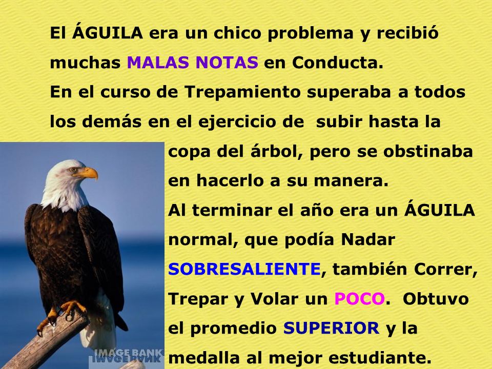 El ÁGUILA era un chico problema y recibió muchas MALAS NOTAS en Conducta.