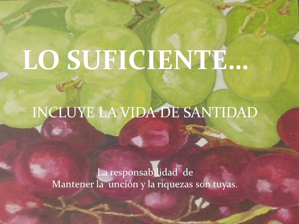 LO SUFICIENTE… INCLUYE LA VIDA DE SANTIDAD La responsabilidad de