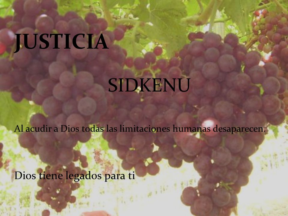 JUSTICIA SIDKENU Dios tiene legados para ti