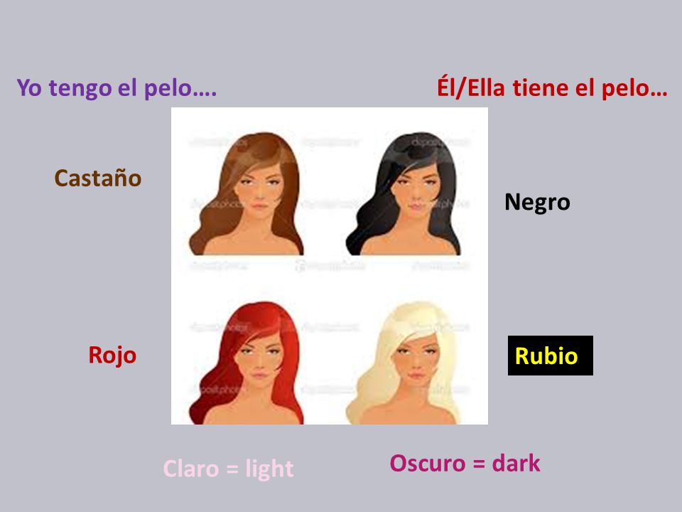 Yo tengo el pelo…. Él/Ella tiene el pelo… Castaño Negro Rojo Rubio Oscuro = dark Claro = light