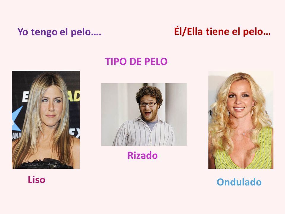 Yo tengo el pelo…. Él/Ella tiene el pelo… TIPO DE PELO Rizado Liso Ondulado