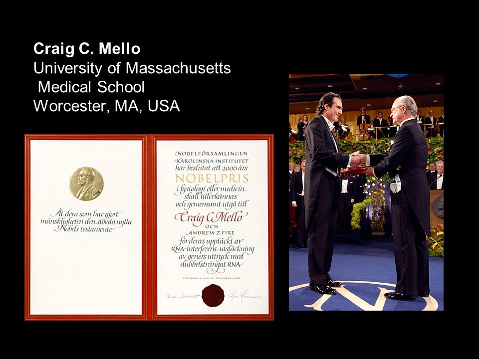 Craig C. Mello University of Massachusetts Medical School Worcester, MA, USA