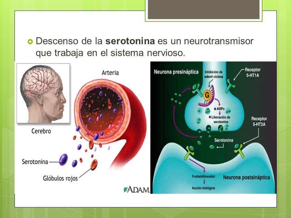 Descenso de la serotonina es un neurotransmisor que trabaja en el sistema nervioso.