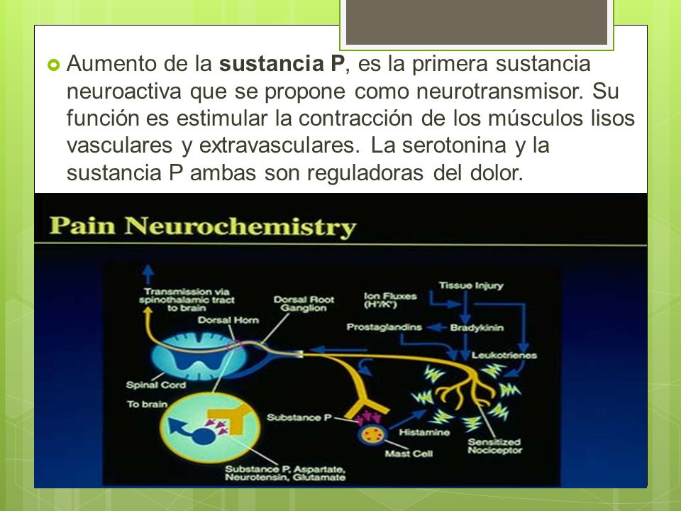 Aumento de la sustancia P, es la primera sustancia neuroactiva que se propone como neurotransmisor.
