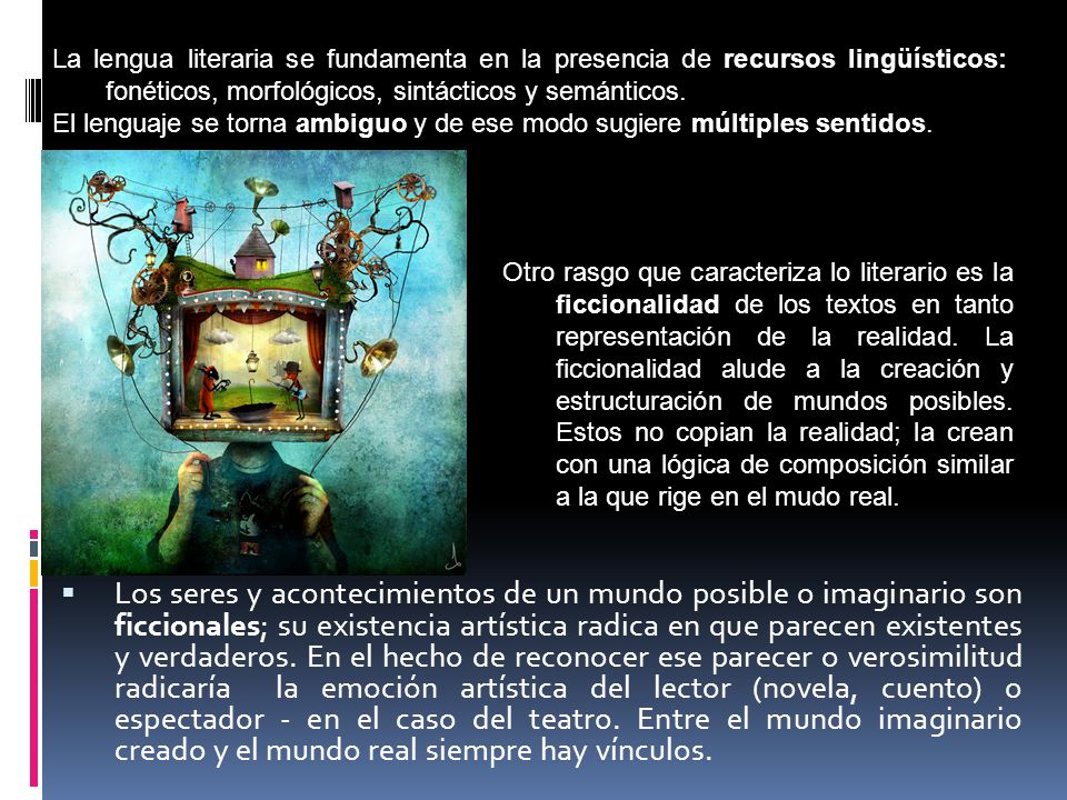 La lengua literaria se fundamenta en la presencia de recursos lingüísticos: fonéticos, morfológicos, sintácticos y semánticos.