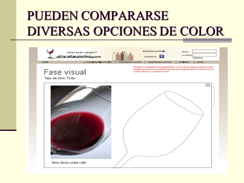 PUEDEN COMPARARSE DIVERSAS OPCIONES DE COLOR