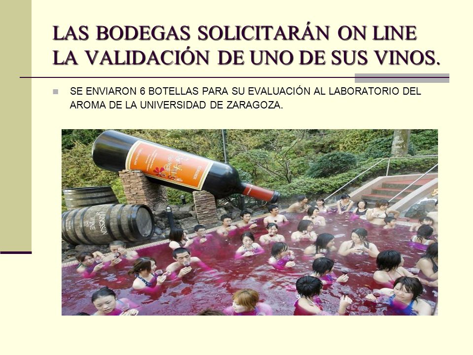 LAS BODEGAS SOLICITARÁN ON LINE LA VALIDACIÓN DE UNO DE SUS VINOS.