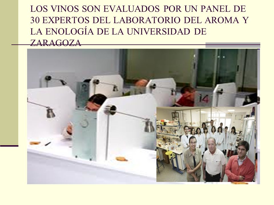 LOS VINOS SON EVALUADOS POR UN PANEL DE 30 EXPERTOS DEL LABORATORIO DEL AROMA Y LA ENOLOGÍA DE LA UNIVERSIDAD DE ZARAGOZA