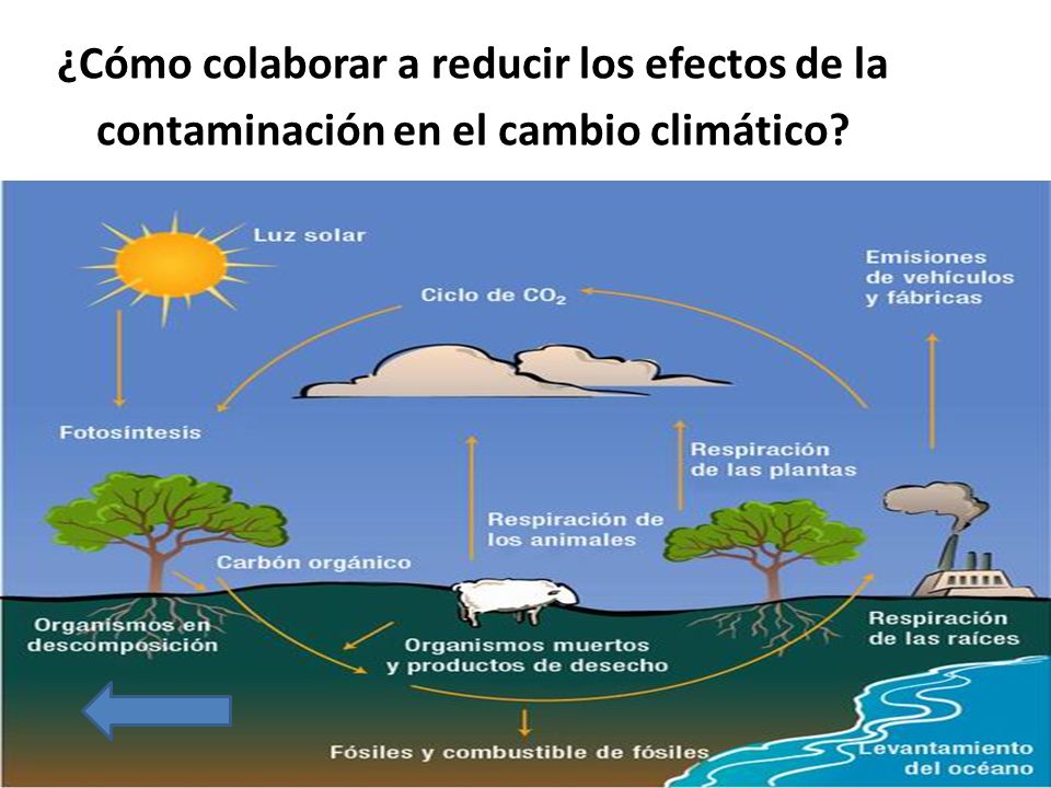 ¿Cómo colaborar a reducir los efectos de la contaminación en el cambio climático