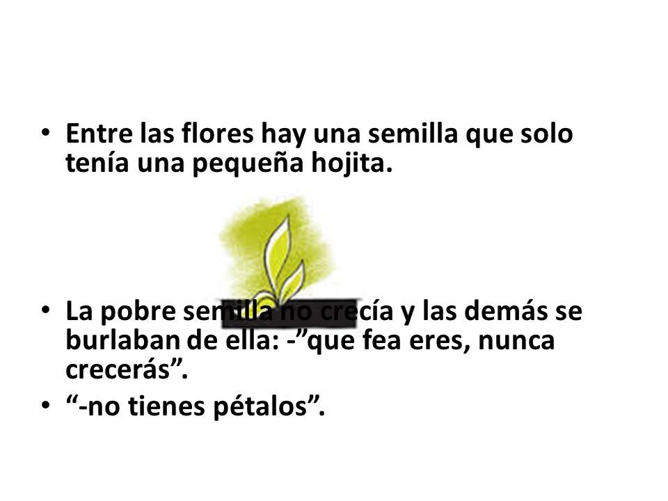 Entre las flores hay una semilla que solo tenía una pequeña hojita.