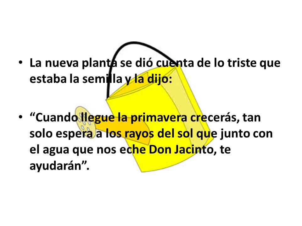 La nueva planta se dió cuenta de lo triste que estaba la semilla y la dijo: