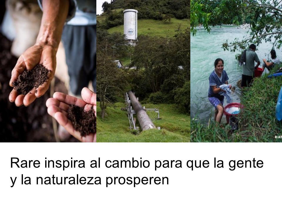Rare inspira al cambio para que la gente y la naturaleza prosperen