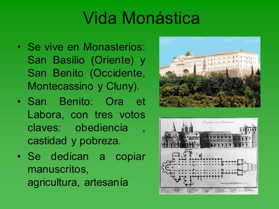 Vida Monástica Se vive en Monasterios: San Basilio (Oriente) y San Benito (Occidente, Montecassino y Cluny).