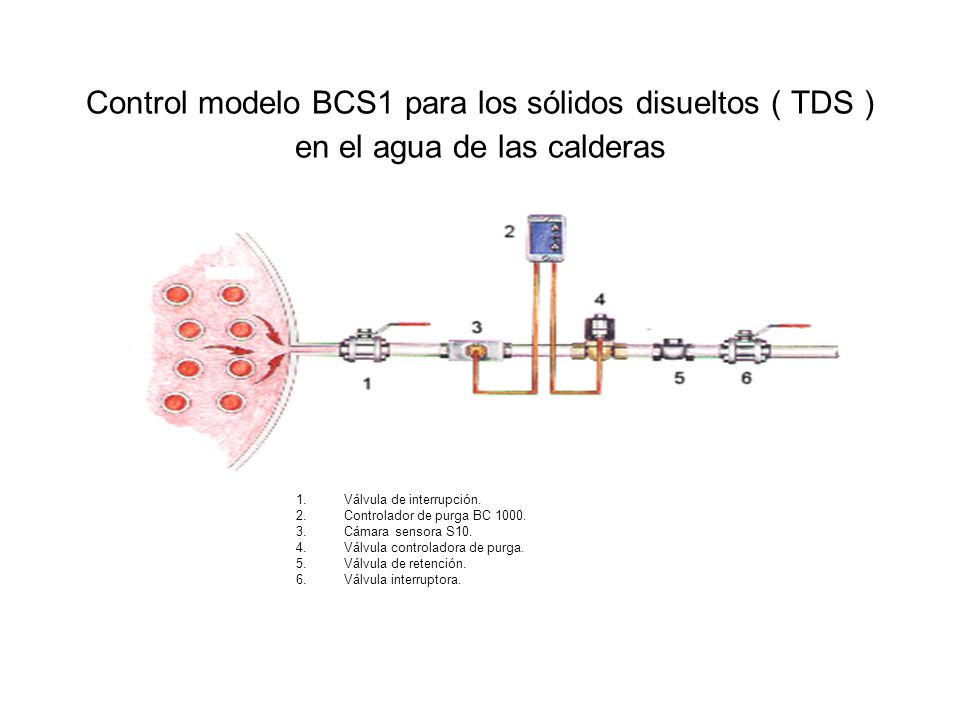 Control modelo BCS1 para los sólidos disueltos ( TDS ) en el agua de las calderas