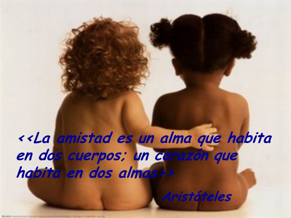 <<La amistad es un alma que habita en dos cuerpos; un corazón que habita en dos almas>>