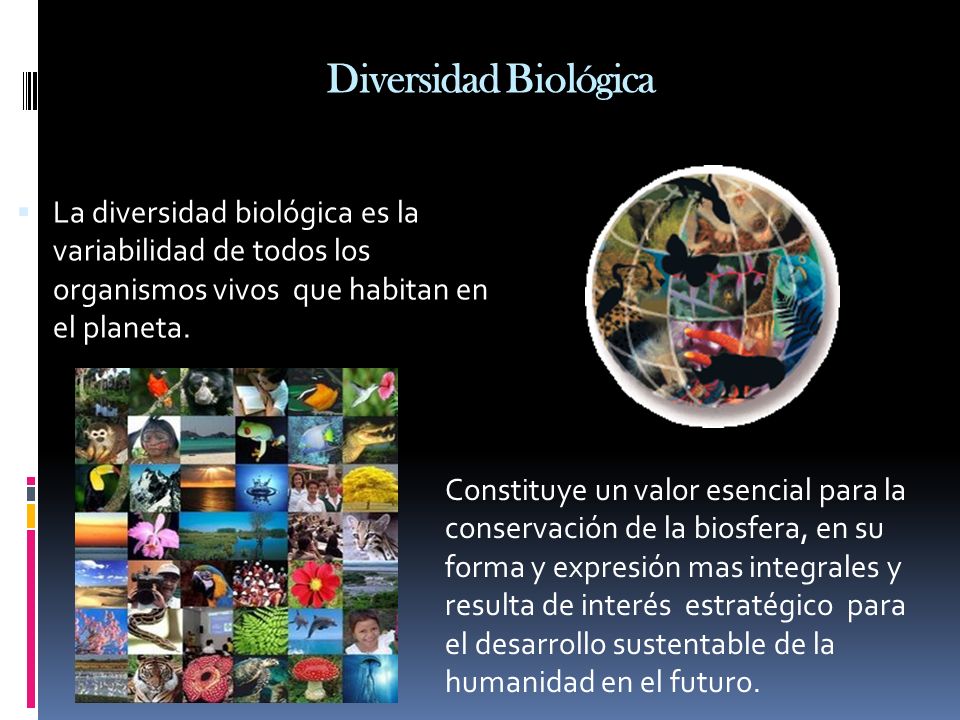 Diversidad Biológica La diversidad biológica es la variabilidad de todos los organismos vivos que habitan en el planeta.