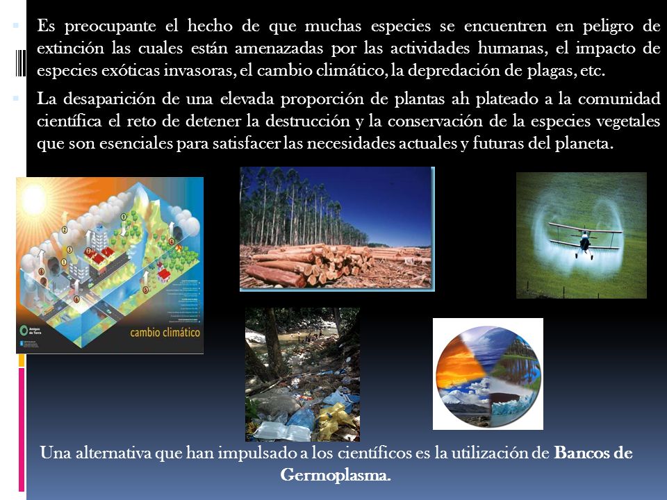 Es preocupante el hecho de que muchas especies se encuentren en peligro de extinción las cuales están amenazadas por las actividades humanas, el impacto de especies exóticas invasoras, el cambio climático, la depredación de plagas, etc.