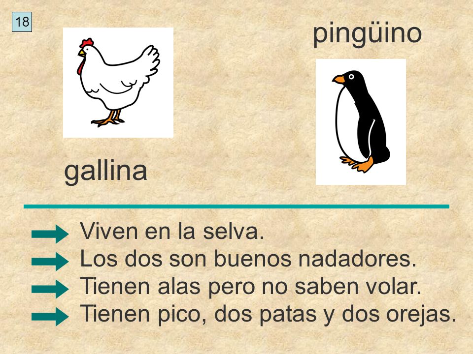 pingüino gallina Viven en la selva. Los dos son buenos nadadores.