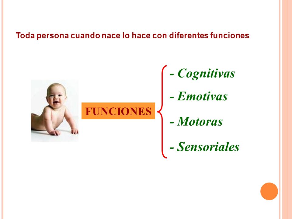 - Cognitivas - Emotivas - Motoras - Sensoriales FUNCIONES