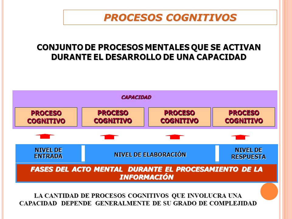 FASES DEL ACTO MENTAL DURANTE EL PROCESAMIENTO DE LA INFORMACIÓN