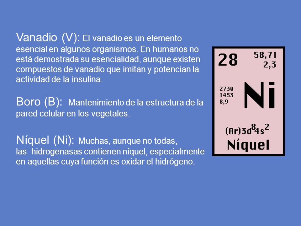 Vanadio (V): El vanadio es un elemento esencial en algunos organismos