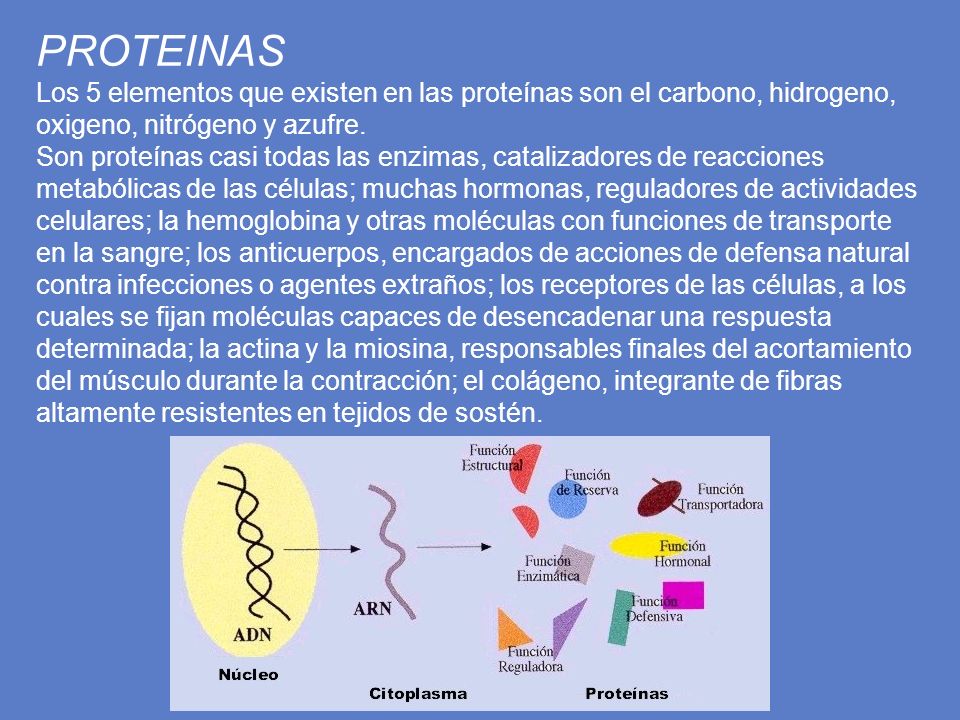 PROTEINAS Los 5 elementos que existen en las proteínas son el carbono, hidrogeno, oxigeno, nitrógeno y azufre.