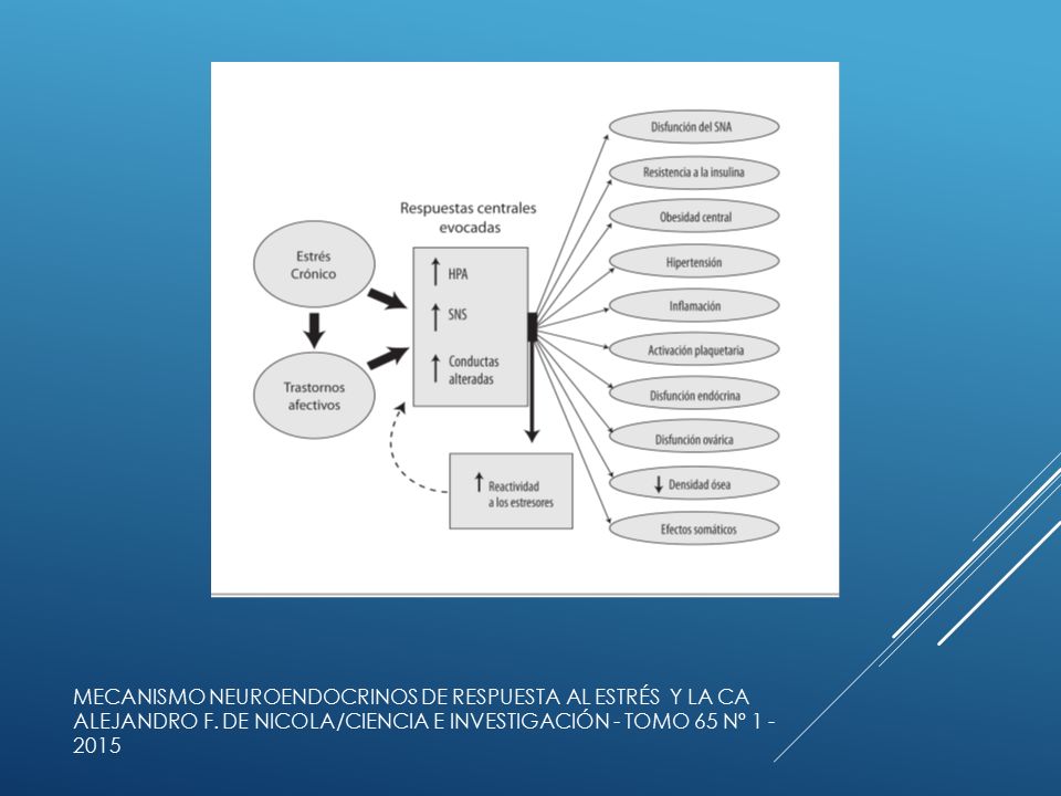Mecanismo neuroendocrinos de respuesta al estrés y la cA Alejandro F