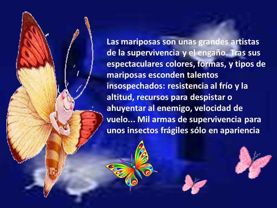Las mariposas son unas grandes artistas de la supervivencia y el engaño.