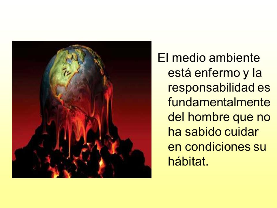 El medio ambiente está enfermo y la responsabilidad es fundamentalmente del hombre que no ha sabido cuidar en condiciones su hábitat.
