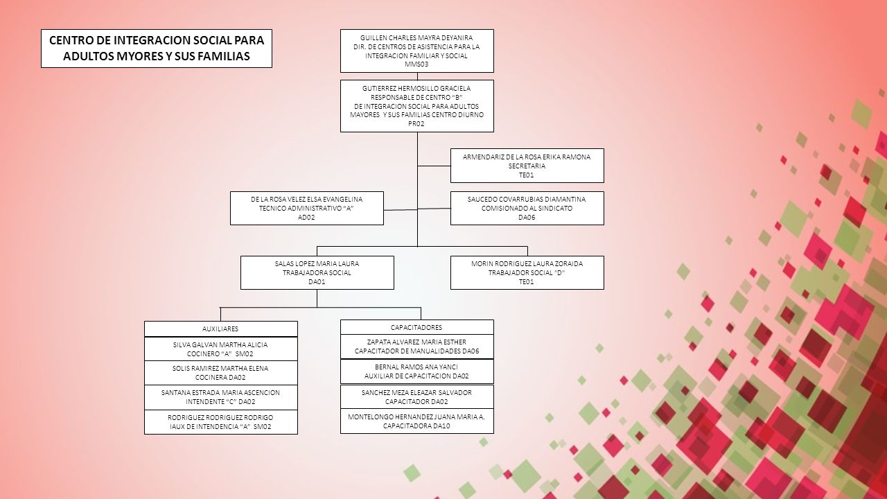 CENTRO DE INTEGRACION SOCIAL PARA ADULTOS MYORES Y SUS FAMILIAS