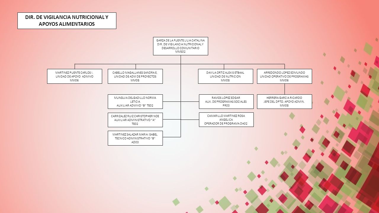 DIR. DE VIGILANCIA NUTRICIONAL Y APOYOS ALIMENTARIOS