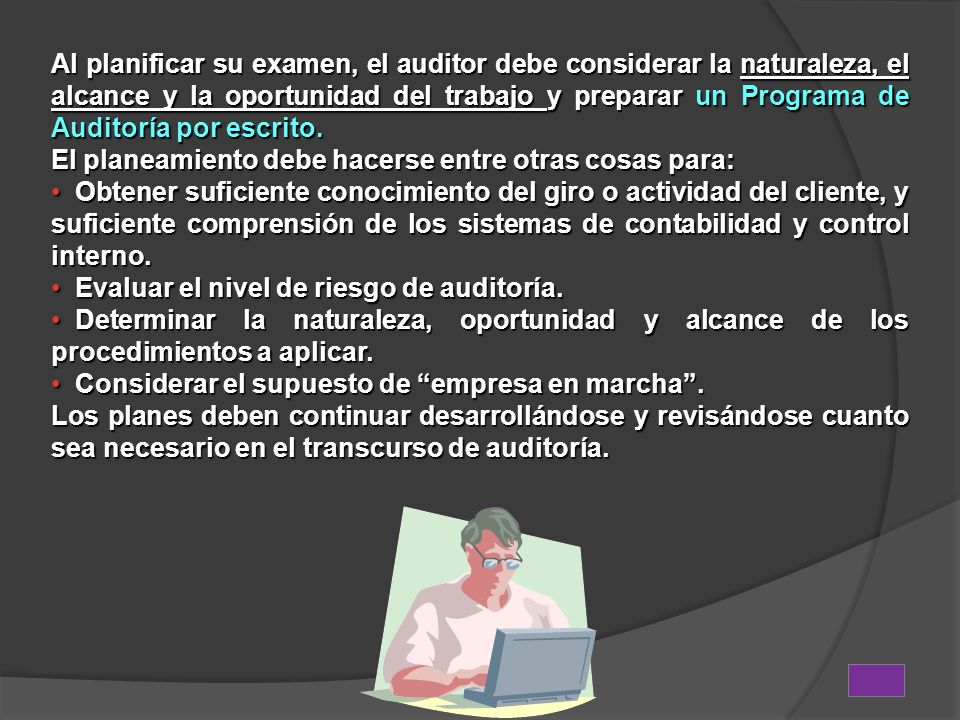 Al planificar su examen, el auditor debe considerar la naturaleza, el alcance y la oportunidad del trabajo y preparar un Programa de Auditoría por escrito.