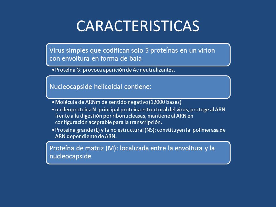 CARACTERISTICAS Virus simples que codifican solo 5 proteínas en un virion con envoltura en forma de bala.