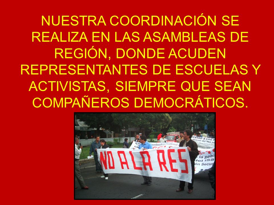 NUESTRA COORDINACIÓN SE REALIZA EN LAS ASAMBLEAS DE REGIÓN, DONDE ACUDEN REPRESENTANTES DE ESCUELAS Y ACTIVISTAS, SIEMPRE QUE SEAN COMPAÑEROS DEMOCRÁTICOS.