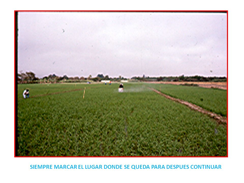 SIEMPRE MARCAR EL LUGAR DONDE SE QUEDA PARA DESPUES CONTINUAR