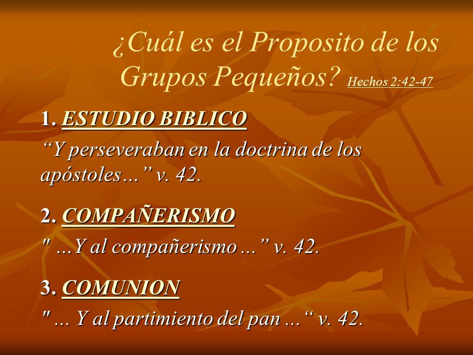 ¿Cuál es el Proposito de los Grupos Pequeños Hechos 2:42-47